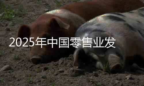 2025年中國零售業(yè)發(fā)展趨勢展望：銀發(fā)經(jīng)濟、體驗經(jīng)濟將成價值創(chuàng)造點
