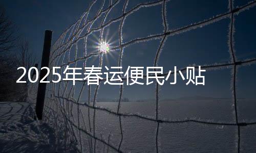 2025年春運(yùn)便民小貼士——打造溫馨出行體驗(yàn)指南