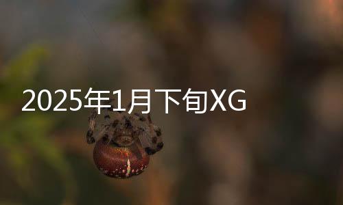 2025年1月下旬XGP新增游戲公布 包含多款首日游戲