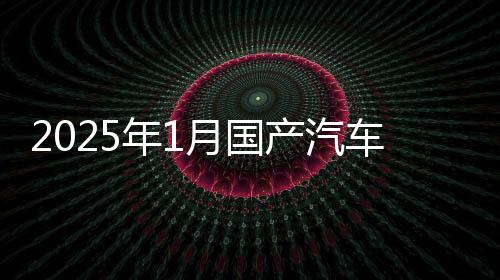 2025年1月國(guó)產(chǎn)汽車(chē)銷量匯總