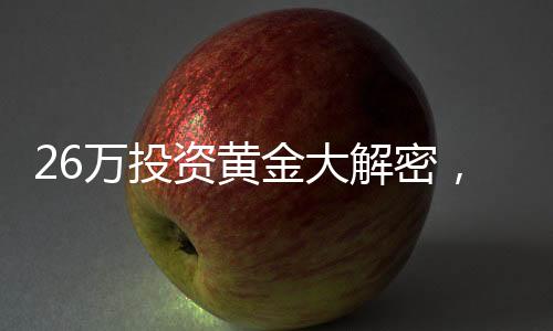 26萬投資黃金大解密，購買一公斤金條的思考與策略