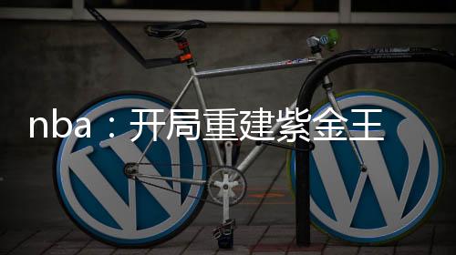 nba：開局重建紫金王朝